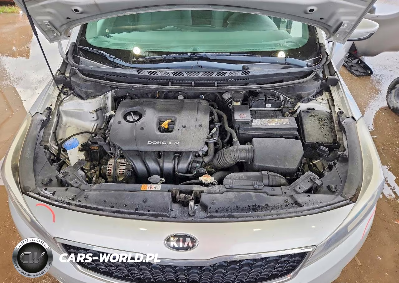 2018 Kia Forte Lx VIN:3KPFL4A74JE248216 - 11