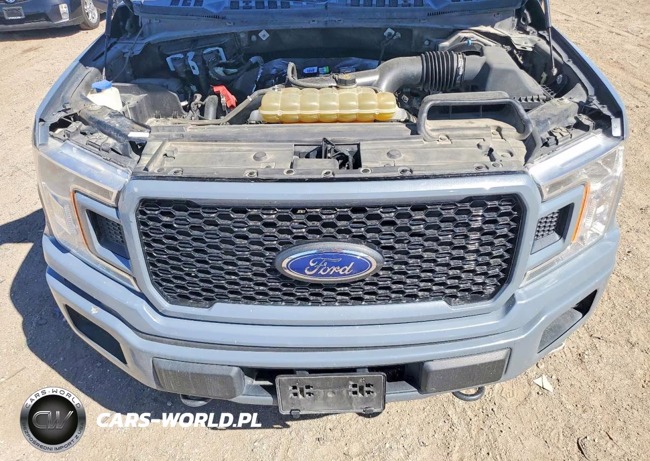 2020 Ford F150 Supercrew VIN:1FTEW1EP9LKD97443 - 11