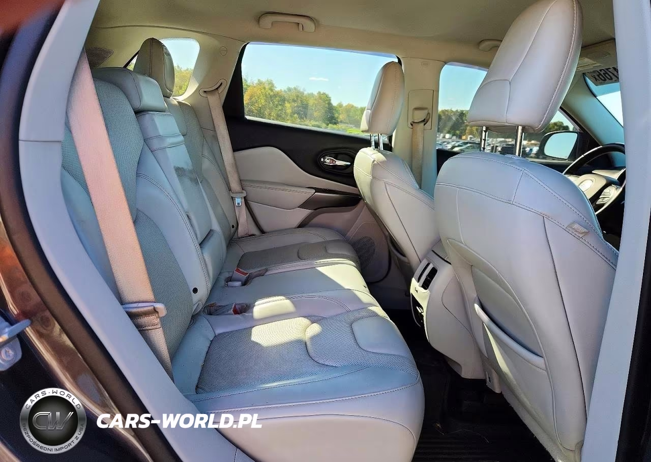 2019 Jeep Cherokee Limited VIN:1C4PJMDX3KD260866 - 11