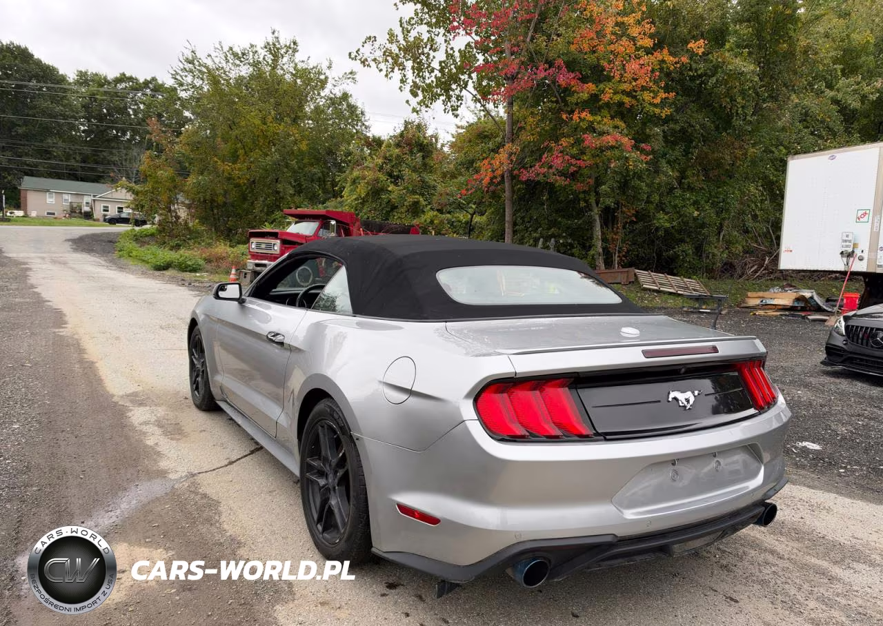 2020 Ford Mustang VIN:1FATP8UH5L5106528 - 3