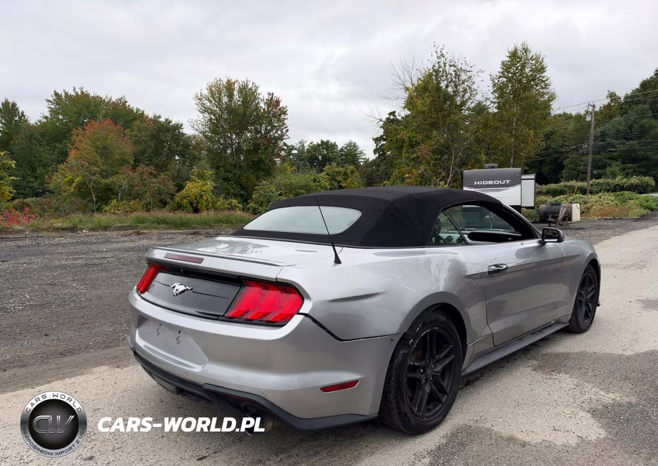 2020 Ford Mustang VIN:1FATP8UH5L5106528 - 4