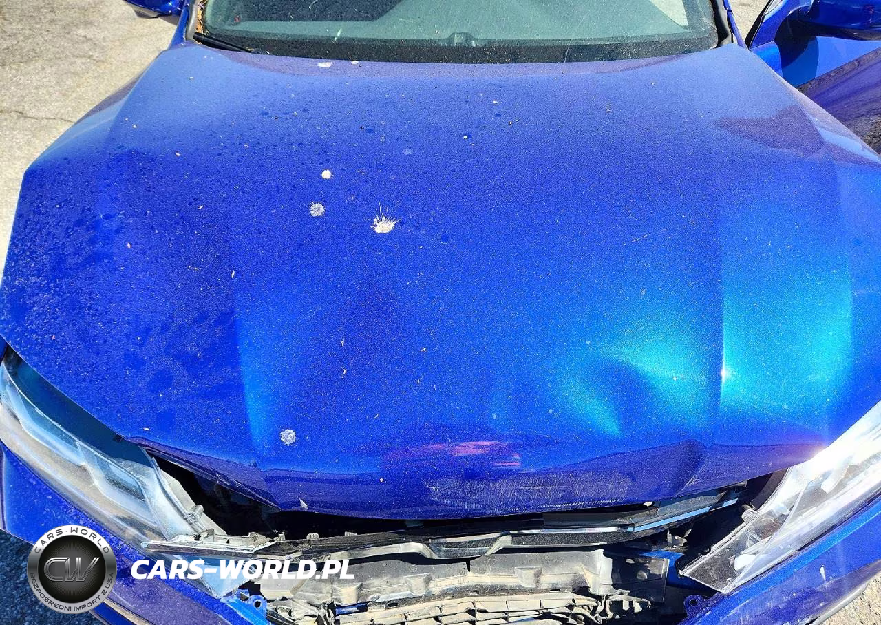 2017 Honda Accord Ex VIN:1HGCT1B78HA009668 - 11
