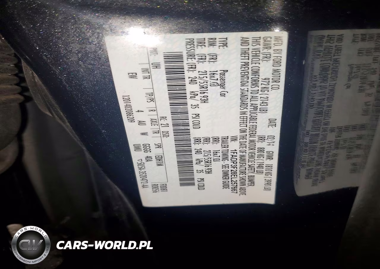2014 Ford Focus Se VIN:1FADP3F28EL257667 - 12