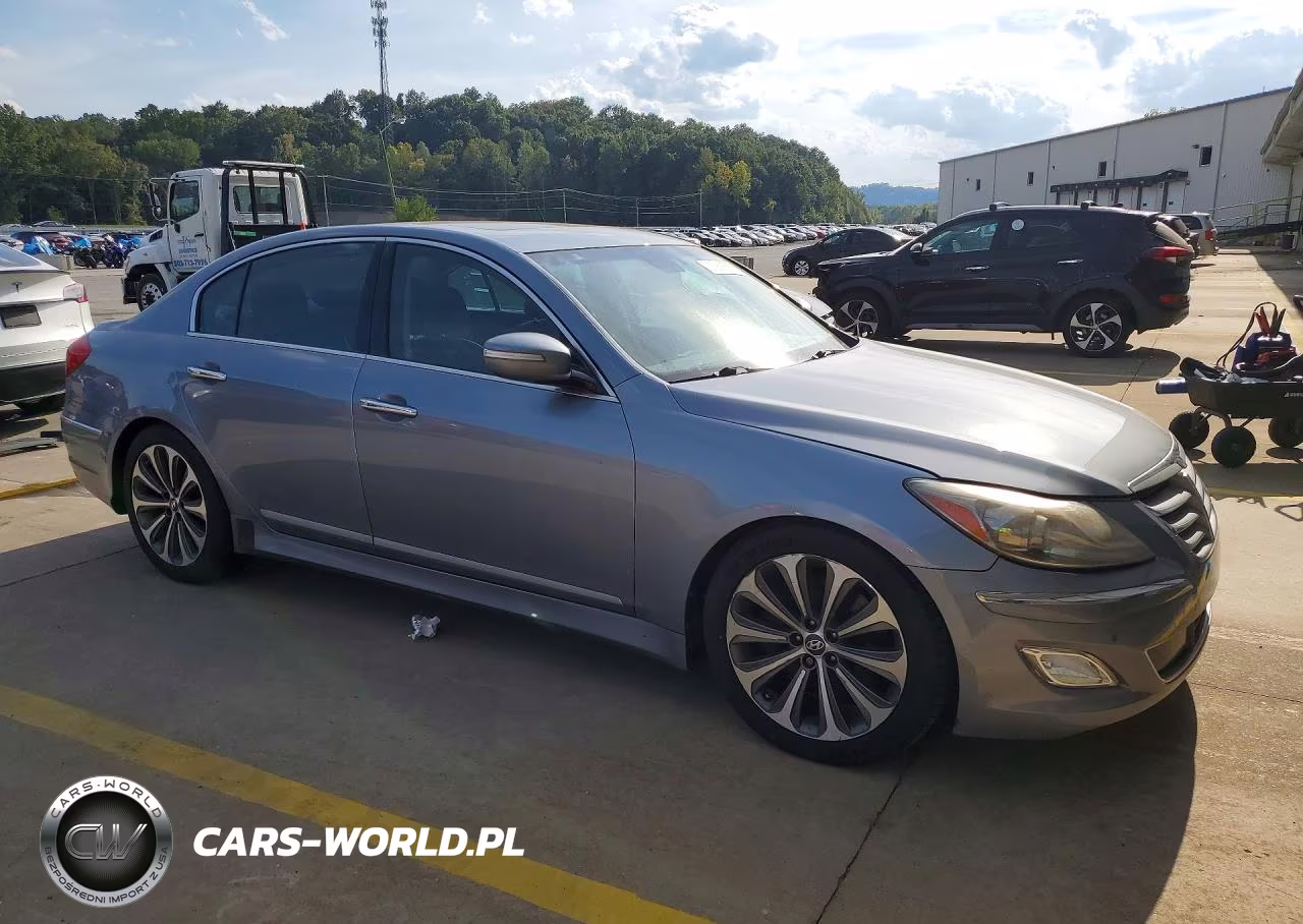 2013 Hyundai Genesis 5.0L VIN:KMHGC4DH6DU256294 - 4