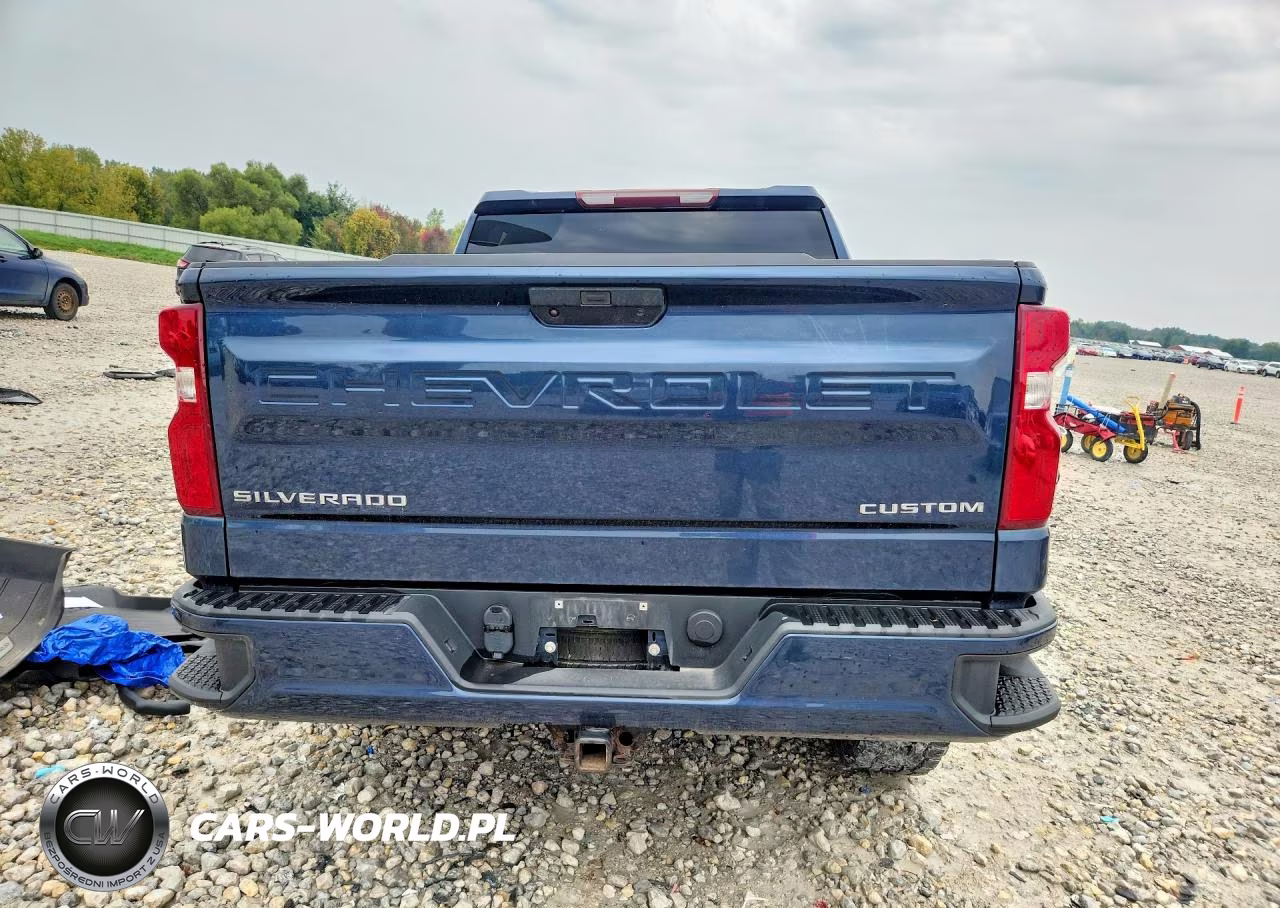 2020 Chevrolet Silverado K1500 Custom VIN:3GCPYBEK8LG377754 - 6