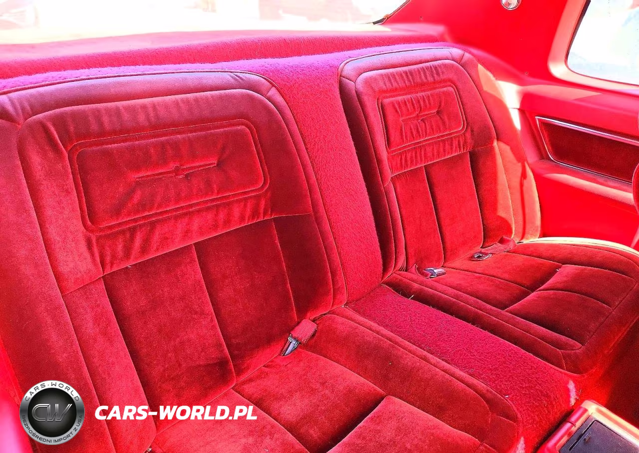 1983 Ford Thunderbird VIN:1FABP46F6DH130210 - 10