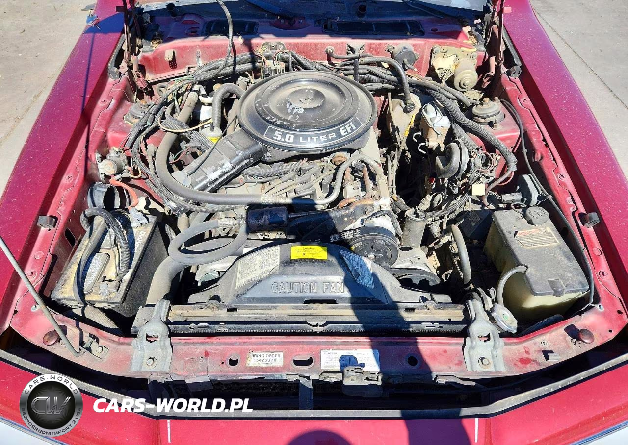 1983 Ford Thunderbird VIN:1FABP46F6DH130210 - 11