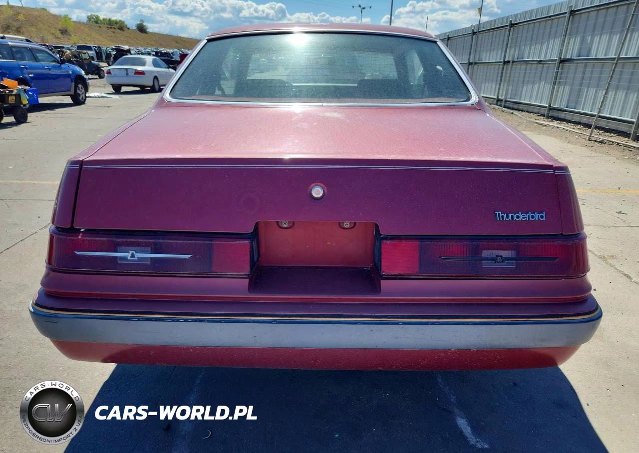 1983 Ford Thunderbird VIN:1FABP46F6DH130210 - 6