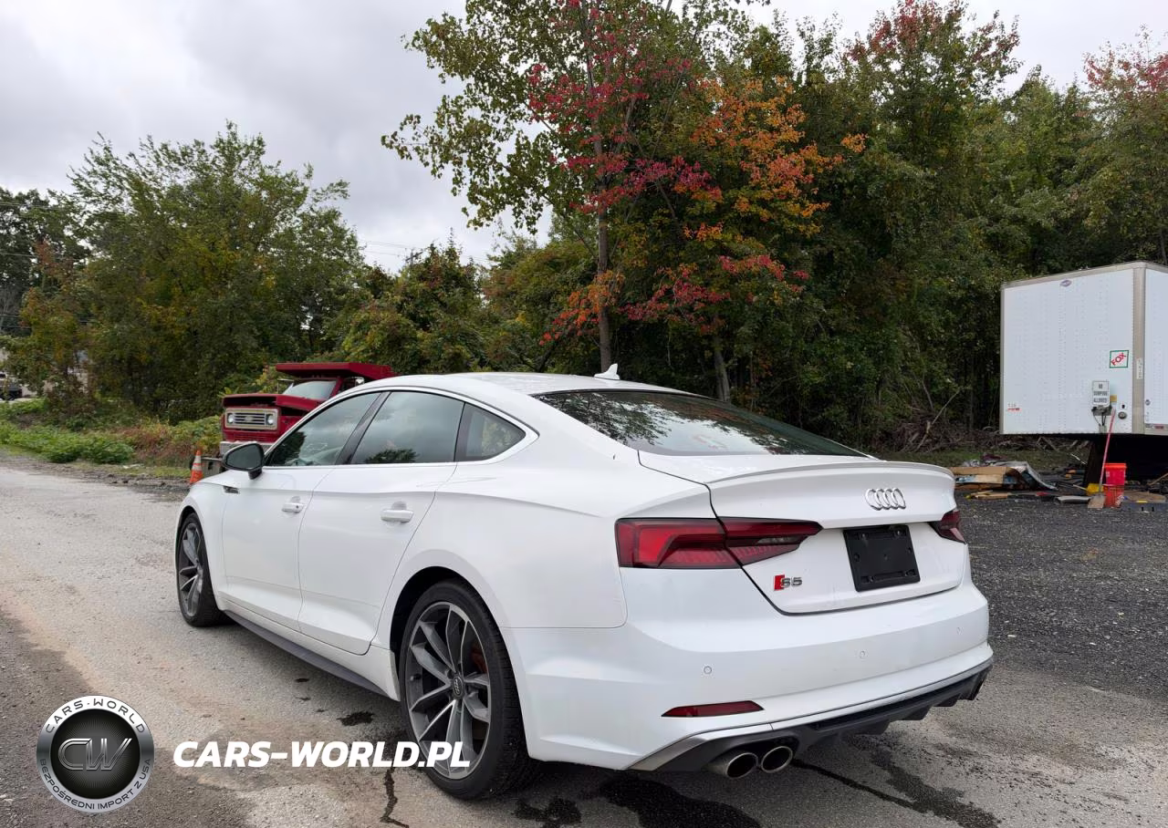 2018 Audi S5 Premium Plus VIN:WAUB4CF5XJA080658 - 3