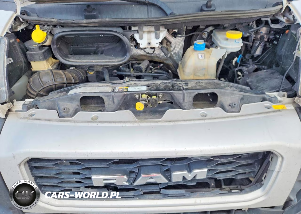 2021 Ram Promaster 2500 2500 High VIN:3C6LRVDGXME508522 - 12