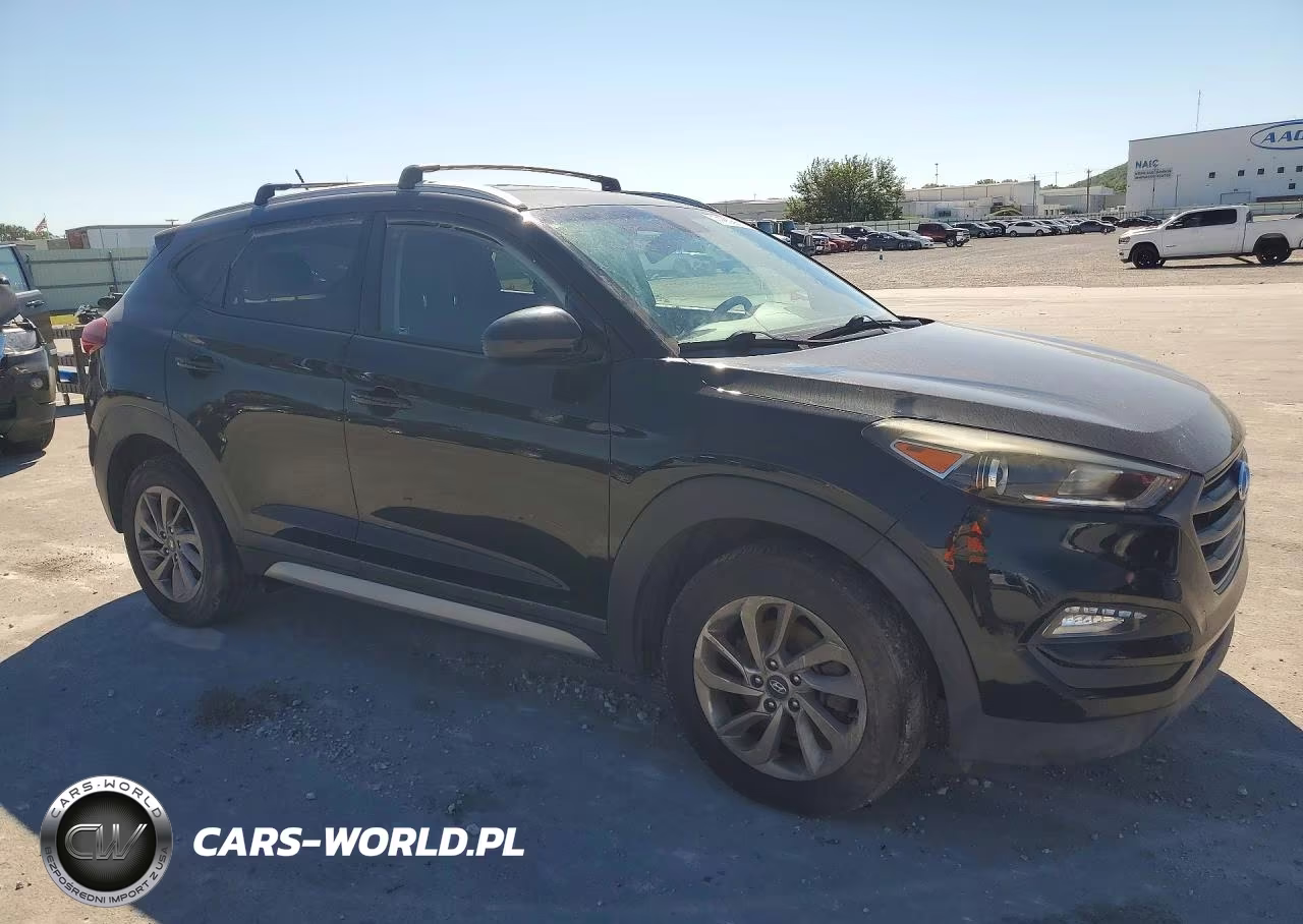 2016 Hyundai Tucson Se VIN:KM8J3CA46GU253191 - 4