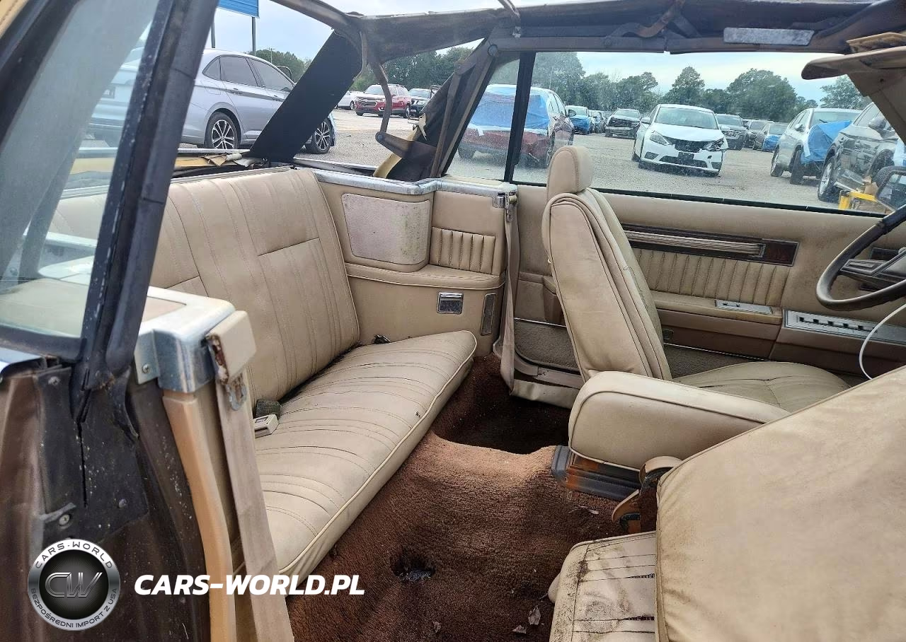 1984 Dodge 600 VIN:1B3BV55G2EG116667 - 10