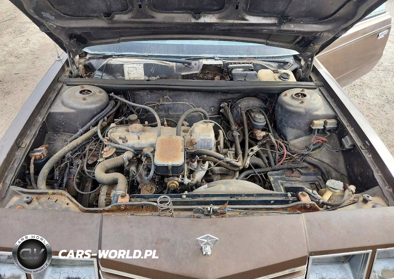 1984 Dodge 600 VIN:1B3BV55G2EG116667 - 11
