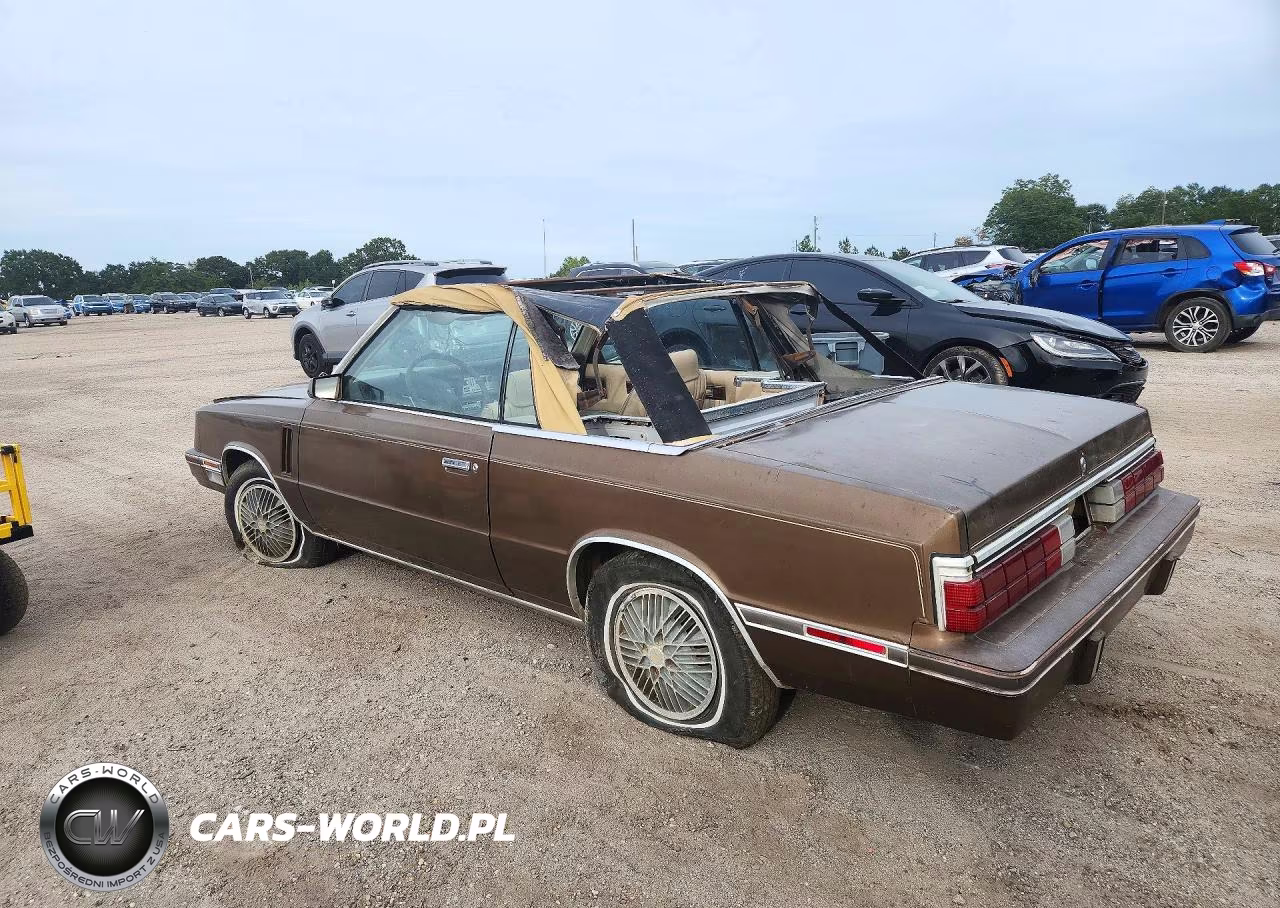 1984 Dodge 600 VIN:1B3BV55G2EG116667 - 2