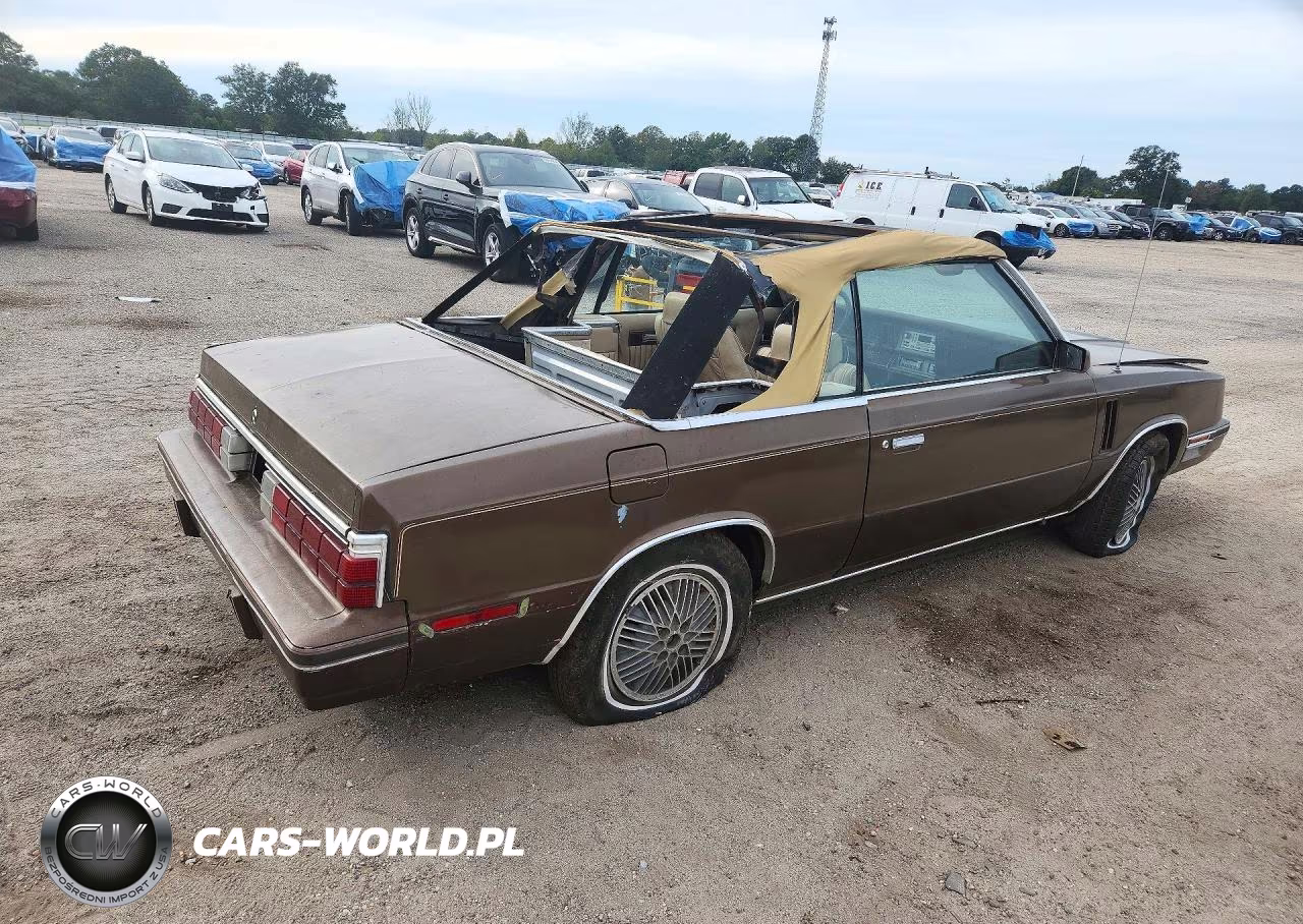 1984 Dodge 600 VIN:1B3BV55G2EG116667 - 3