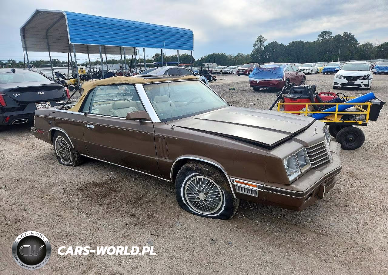1984 Dodge 600 VIN:1B3BV55G2EG116667 - 4
