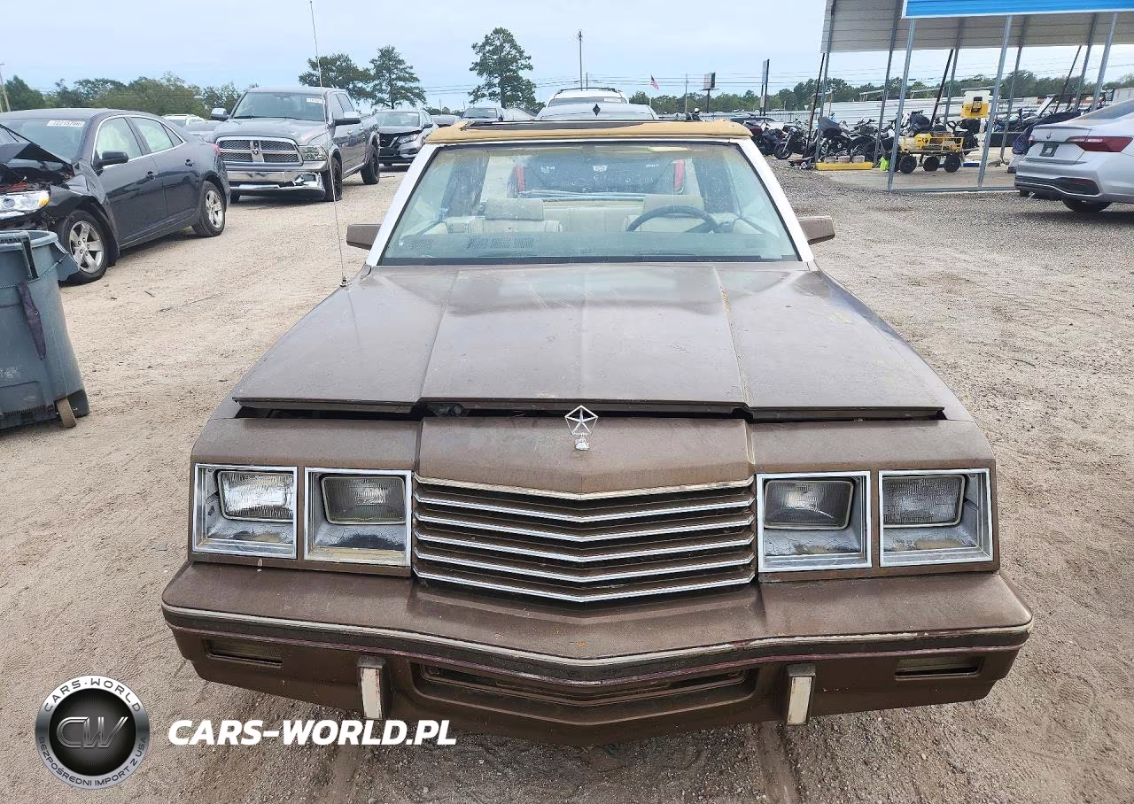 1984 Dodge 600 VIN:1B3BV55G2EG116667 - 5