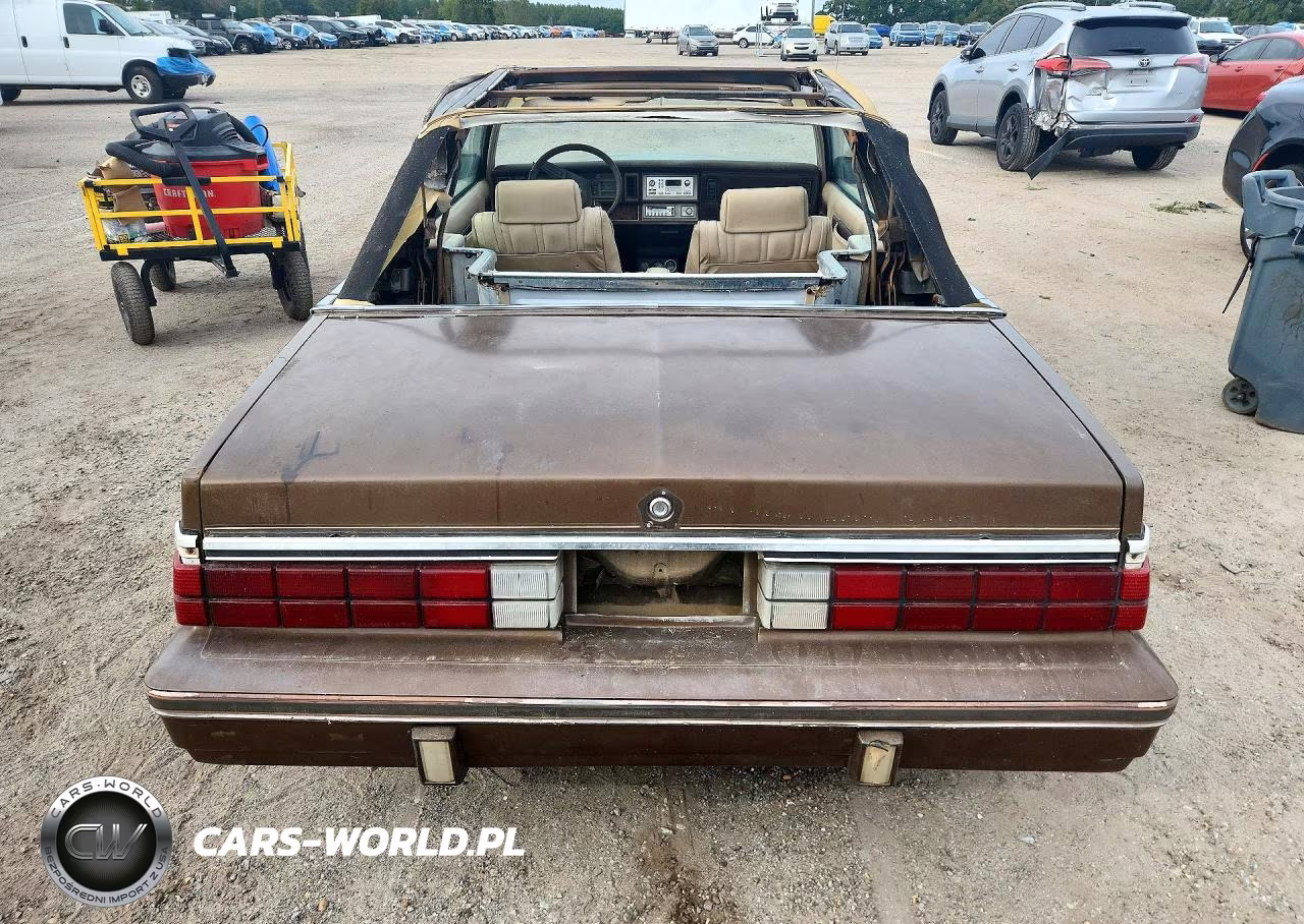 1984 Dodge 600 VIN:1B3BV55G2EG116667 - 6