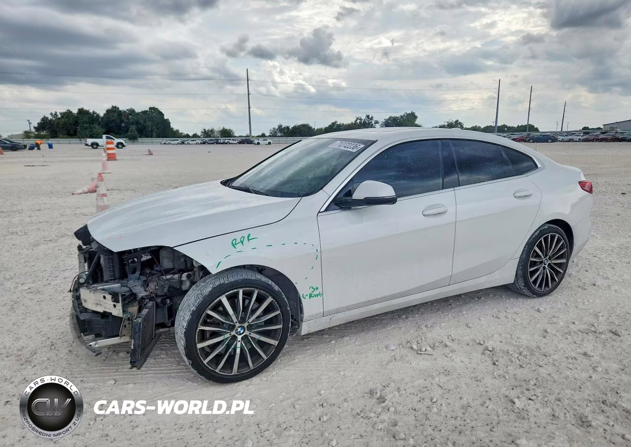2020 BMW 228Xi VIN:WBA73AK08L7G16873 - 1