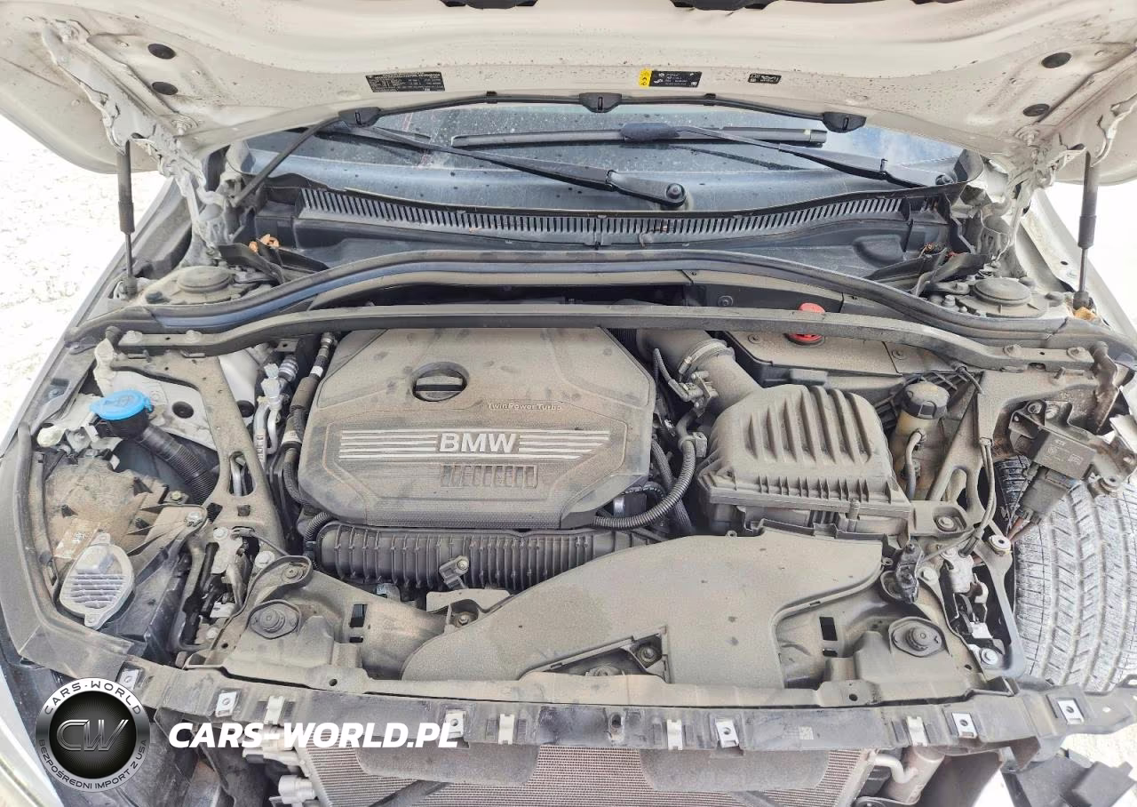 2020 BMW 228Xi VIN:WBA73AK08L7G16873 - 11