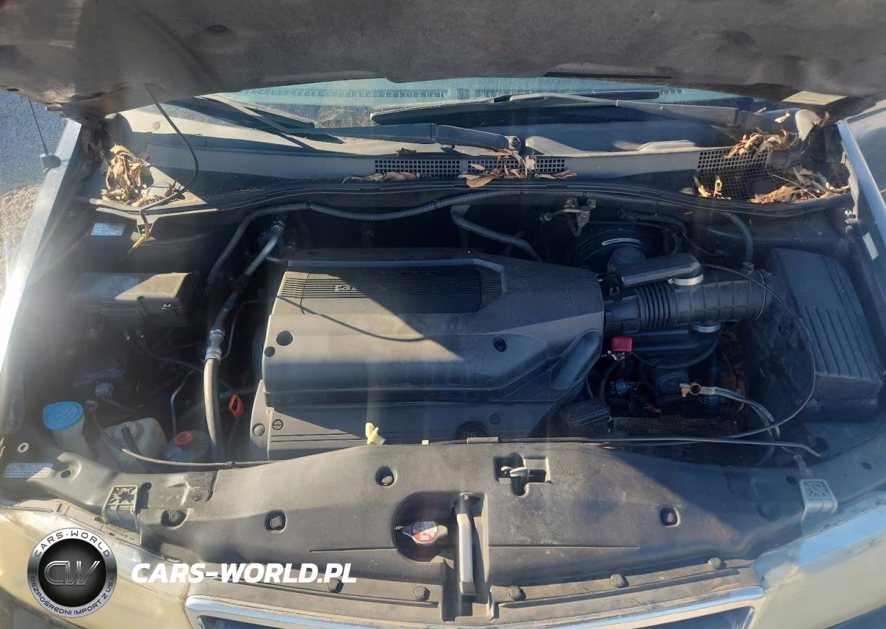 2004 Honda Odyssey Exl VIN:5FNRL18984B096877 - 12