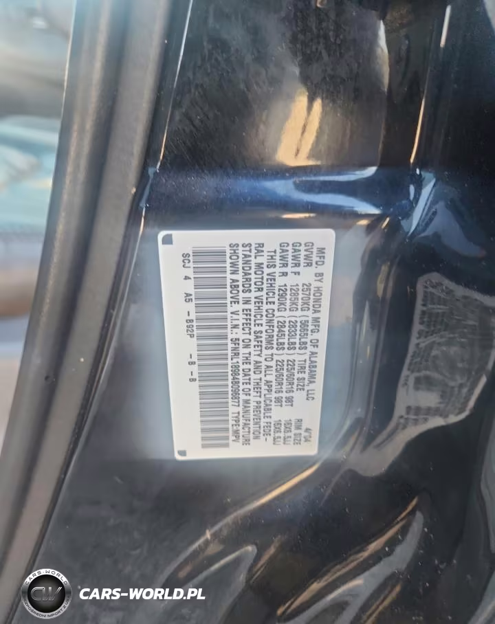 2004 Honda Odyssey Exl VIN:5FNRL18984B096877 - 13