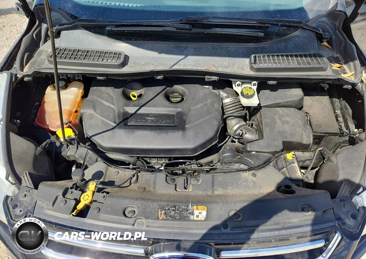 2016 Ford Escape Titanium VIN:1FMCU0J99GUC91465 - 12