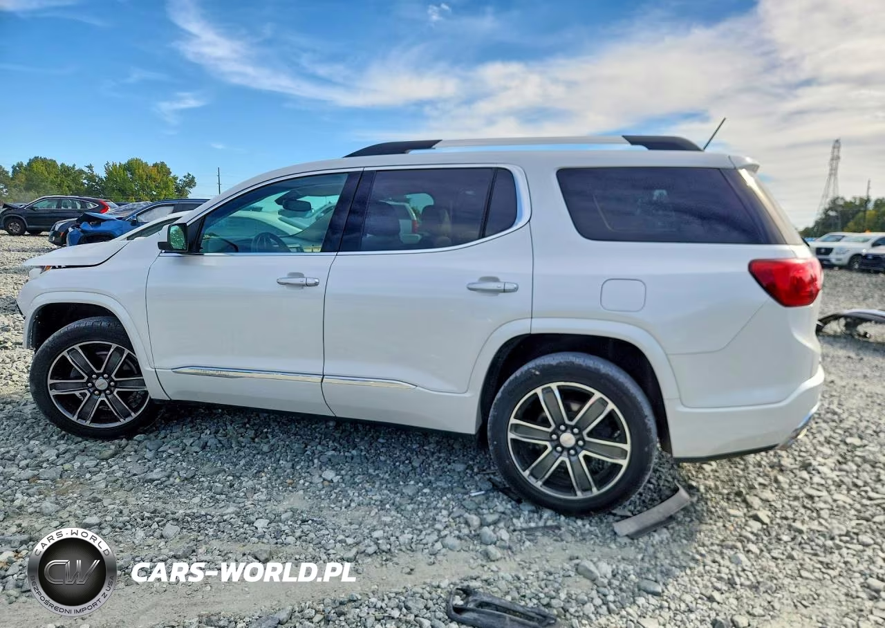 2017 GMC Acadia Denali VIN:1GKKNPLS6HZ300704 - 2