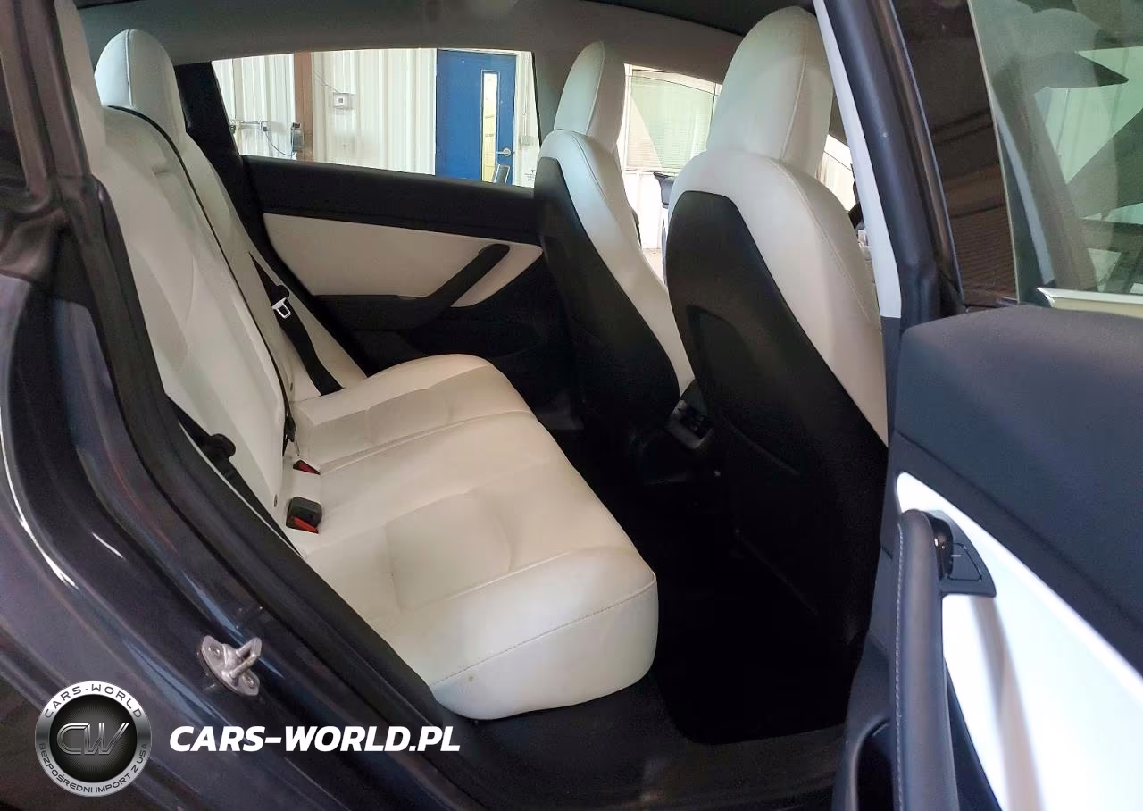 2020 Tesla Model 3 VIN:5YJ3E1EBXLF712956 - 10