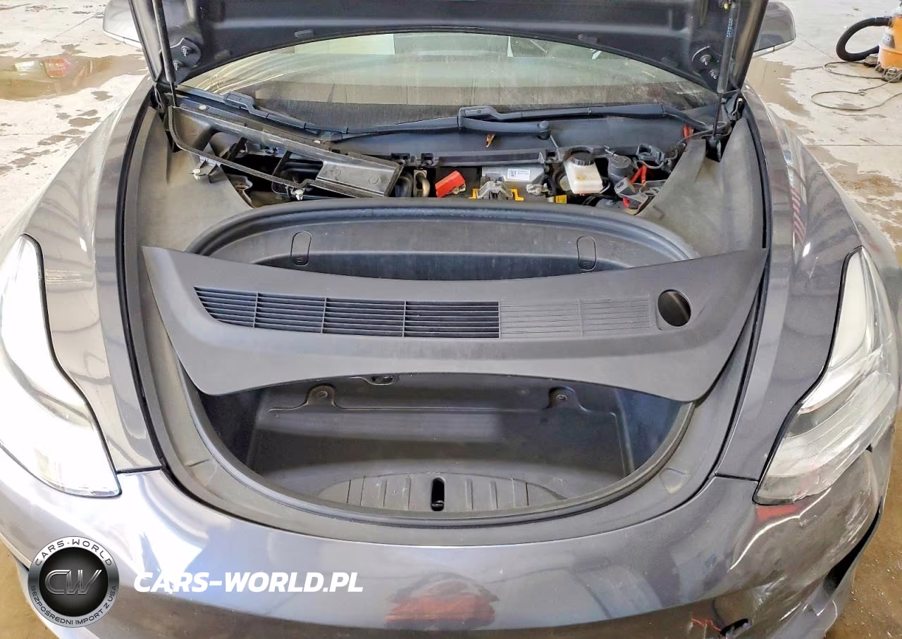 2020 Tesla Model 3 VIN:5YJ3E1EBXLF712956 - 11