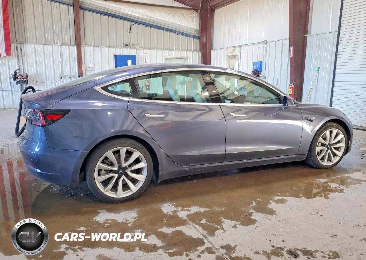 2020 Tesla Model 3 VIN:5YJ3E1EBXLF712956 - 3