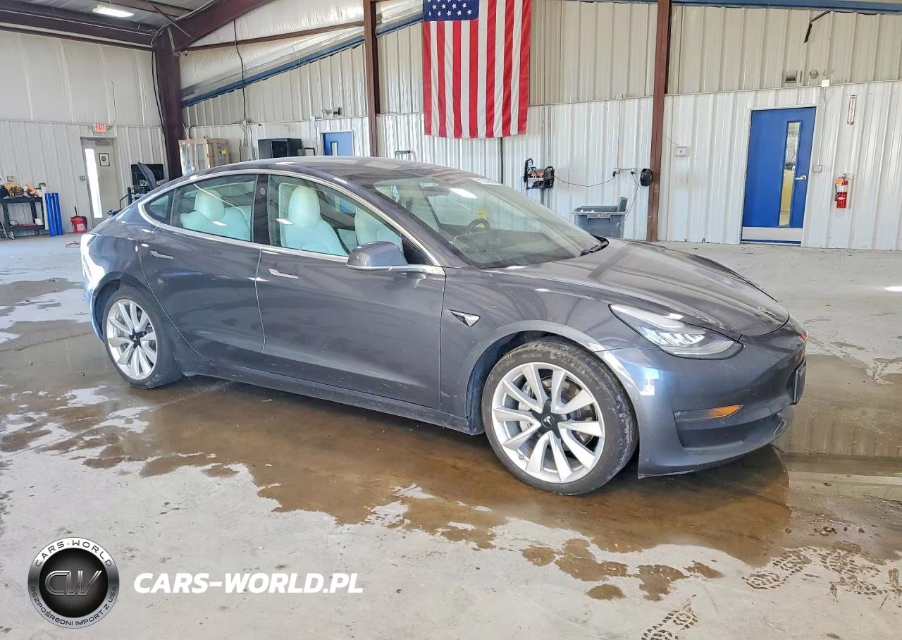 2020 Tesla Model 3 VIN:5YJ3E1EBXLF712956 - 4