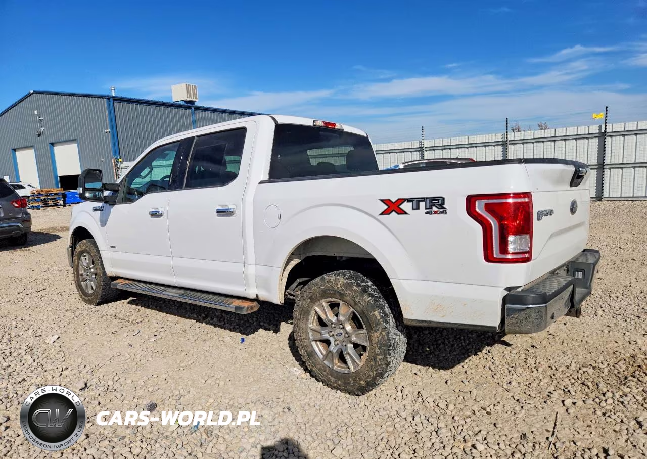 2017 Ford F150 Supercrew VIN:1FTEW1EG6HKD55609 - 2
