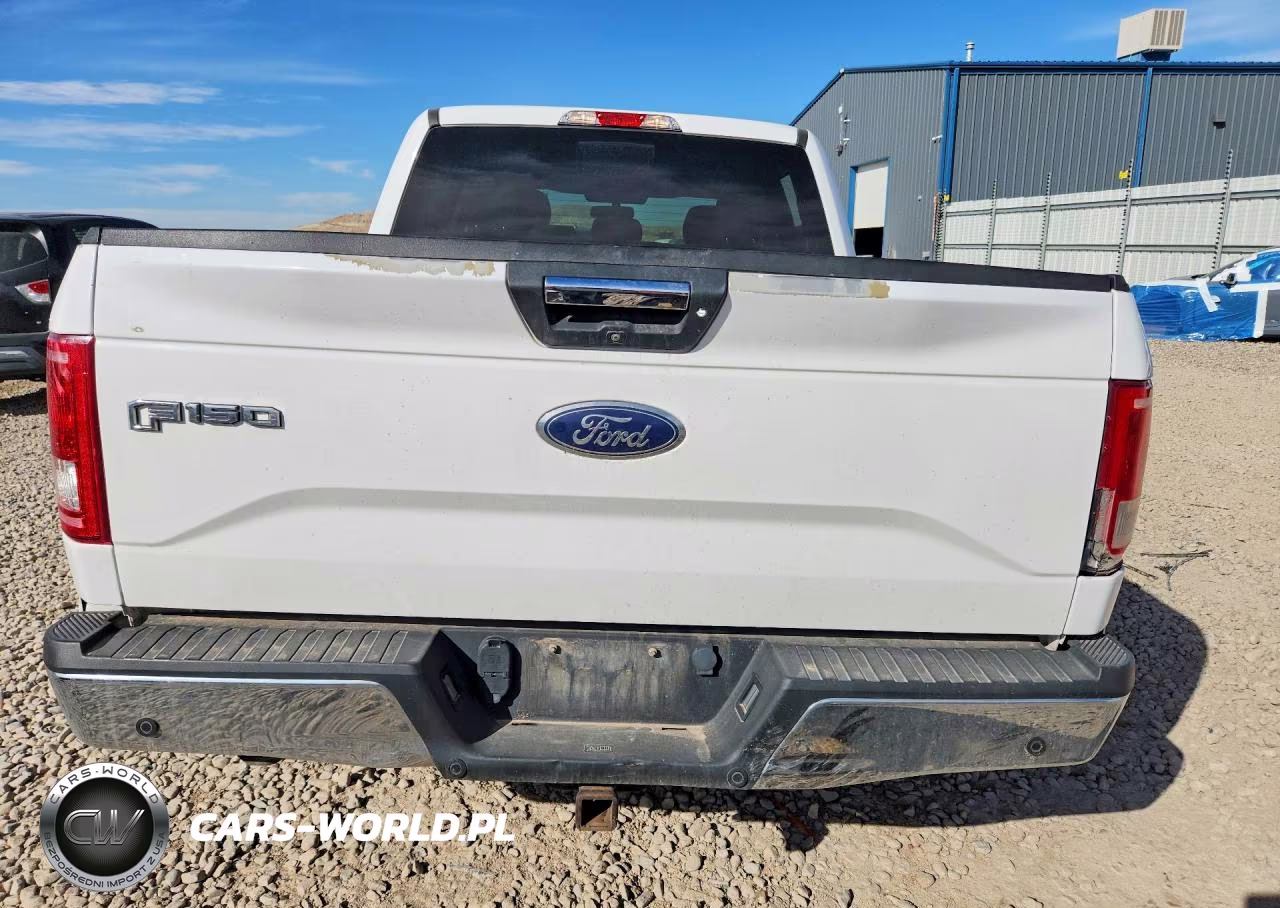 2017 Ford F150 Supercrew VIN:1FTEW1EG6HKD55609 - 6