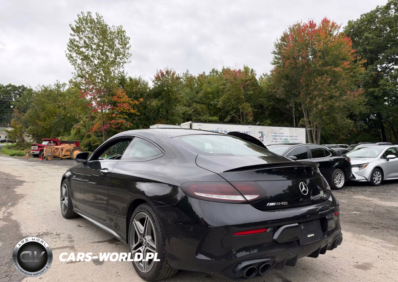 2019 Mercedes-Benz C 43 Amg VIN:WDDWJ6EB5KF877223 - 3