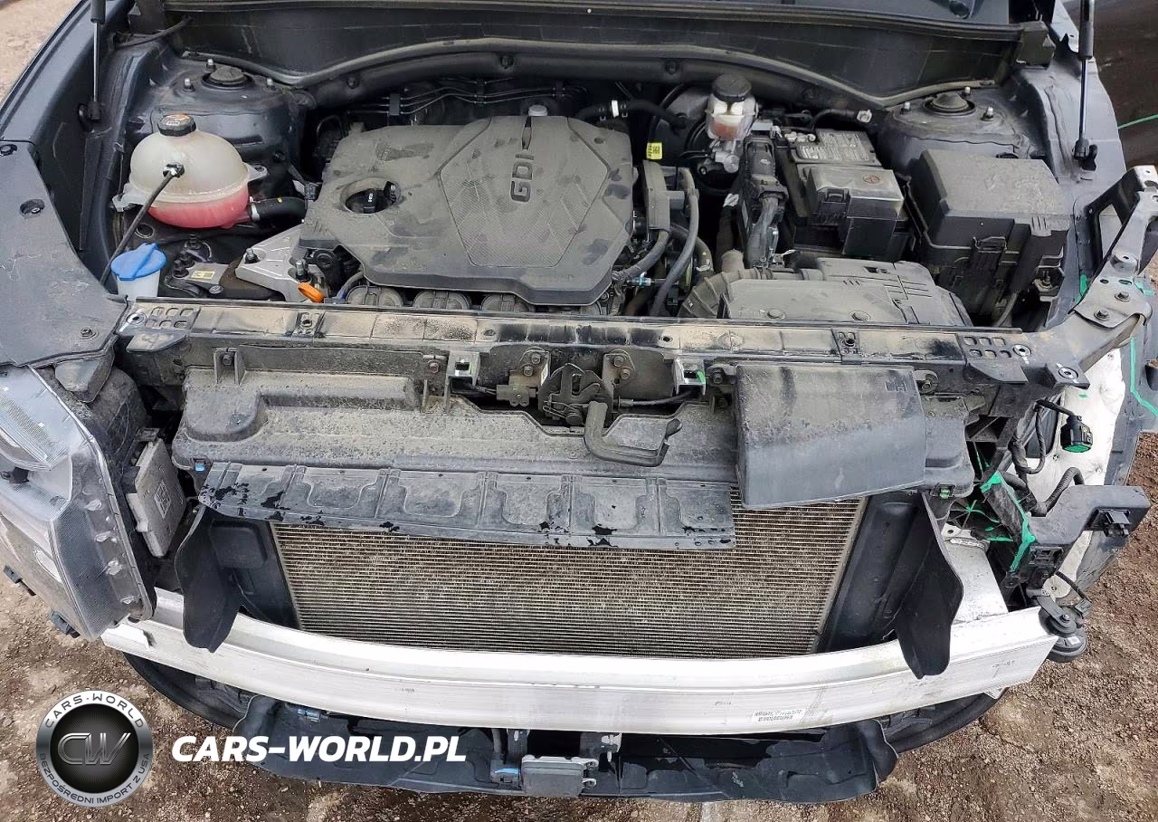 2022 Hyundai Santa Fe Sel VIN:5NMS3DAJ9NH424766 - 12