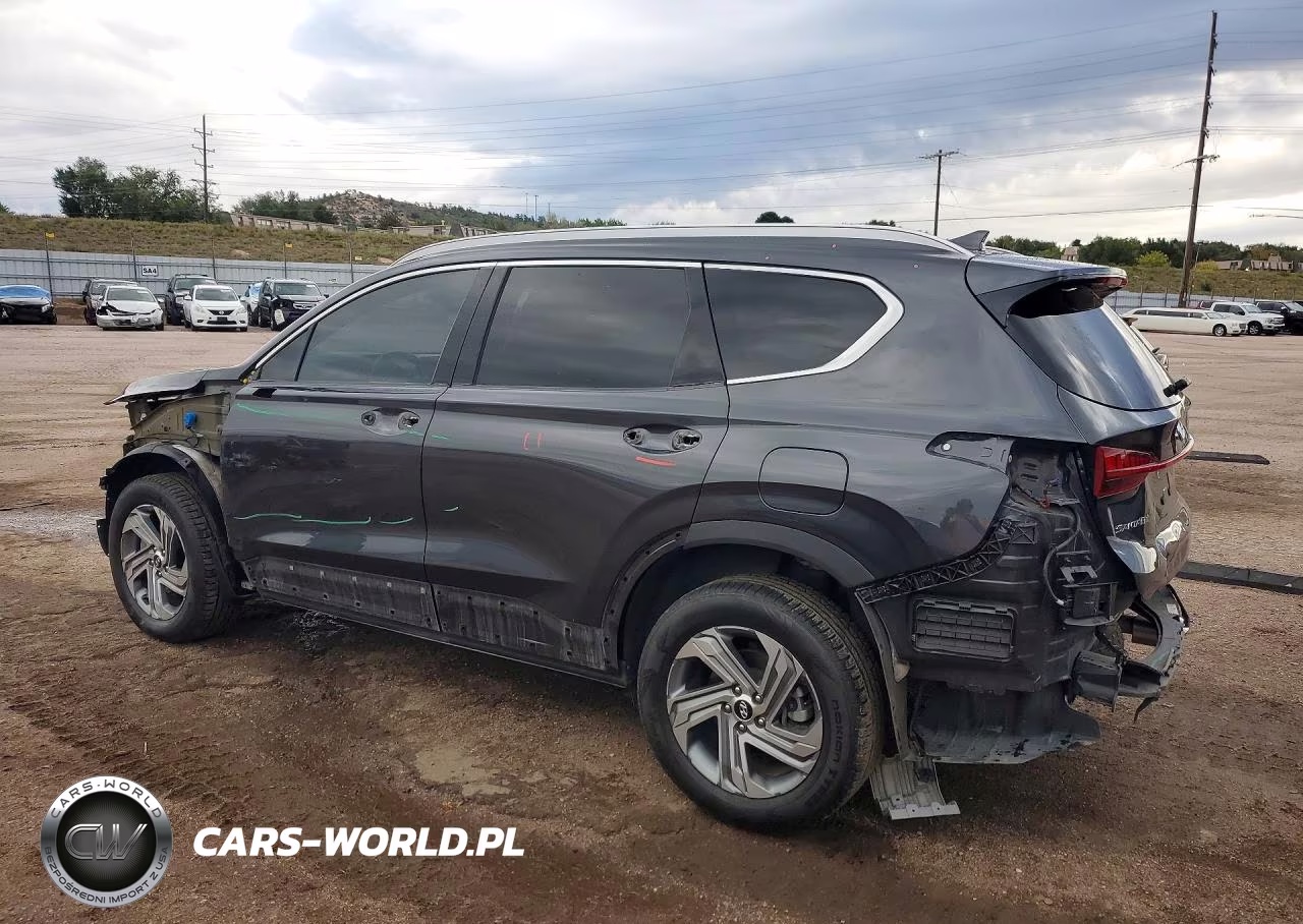 2022 Hyundai Santa Fe Sel VIN:5NMS3DAJ9NH424766 - 2