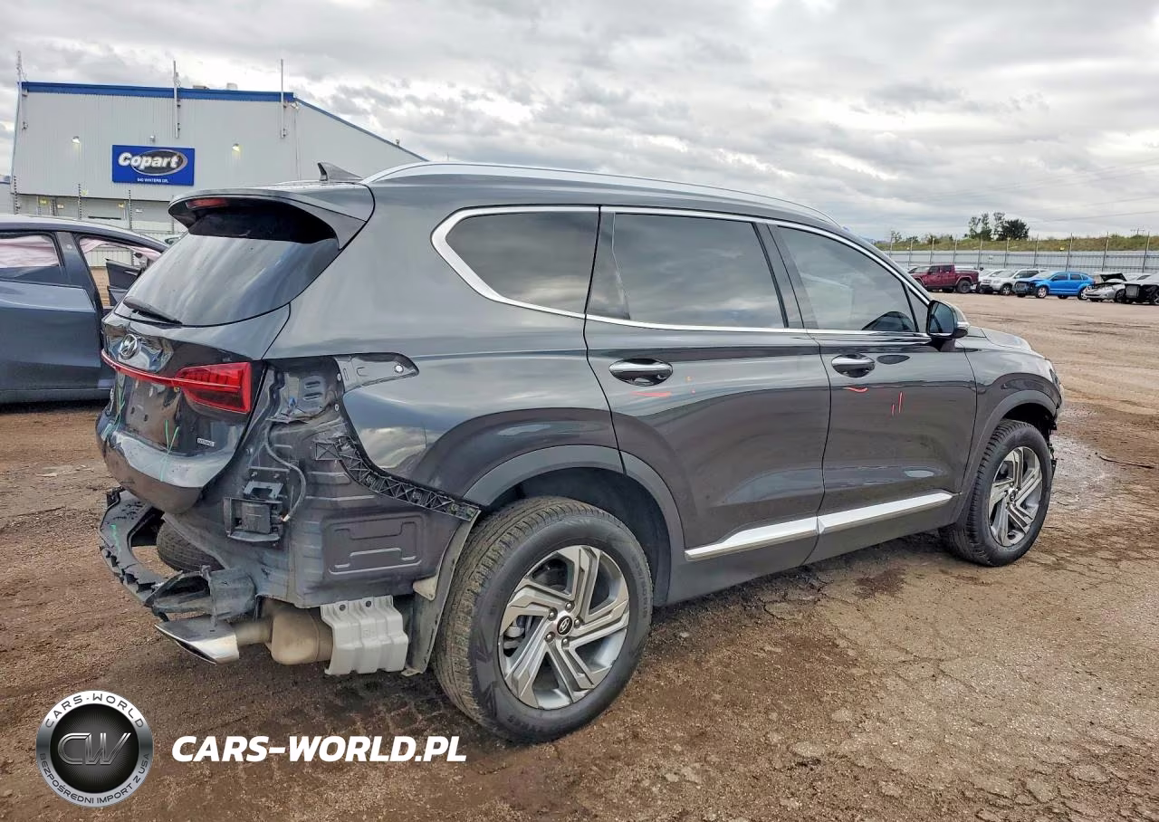 2022 Hyundai Santa Fe Sel VIN:5NMS3DAJ9NH424766 - 3