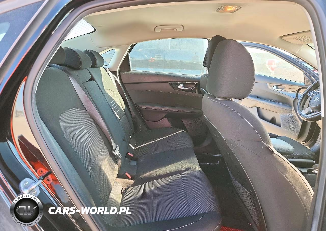 2019 Kia Forte S VIN:3KPF34AD5KE033709 - 10