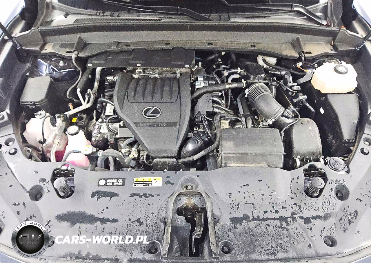 2025 Lexus Tx 500H F Sport Performance Luxury VIN:5TDABAB69SS012279 - 12