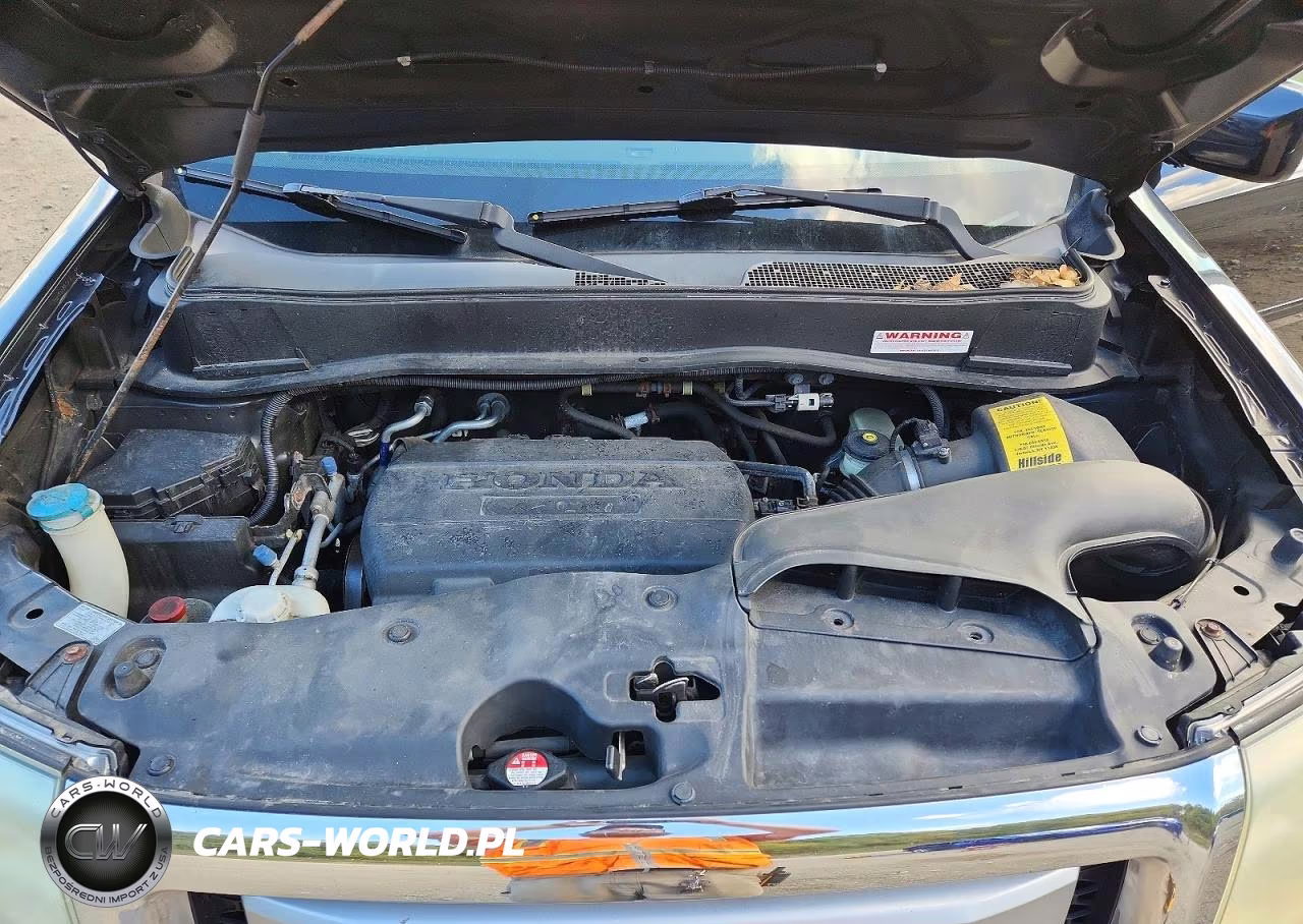 2010 Honda Pilot Exl VIN:5FNYF4H51AB019751 - 12