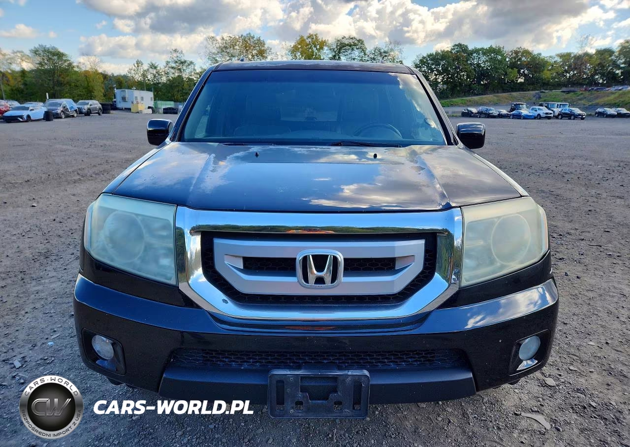 2010 Honda Pilot Exl VIN:5FNYF4H51AB019751 - 5