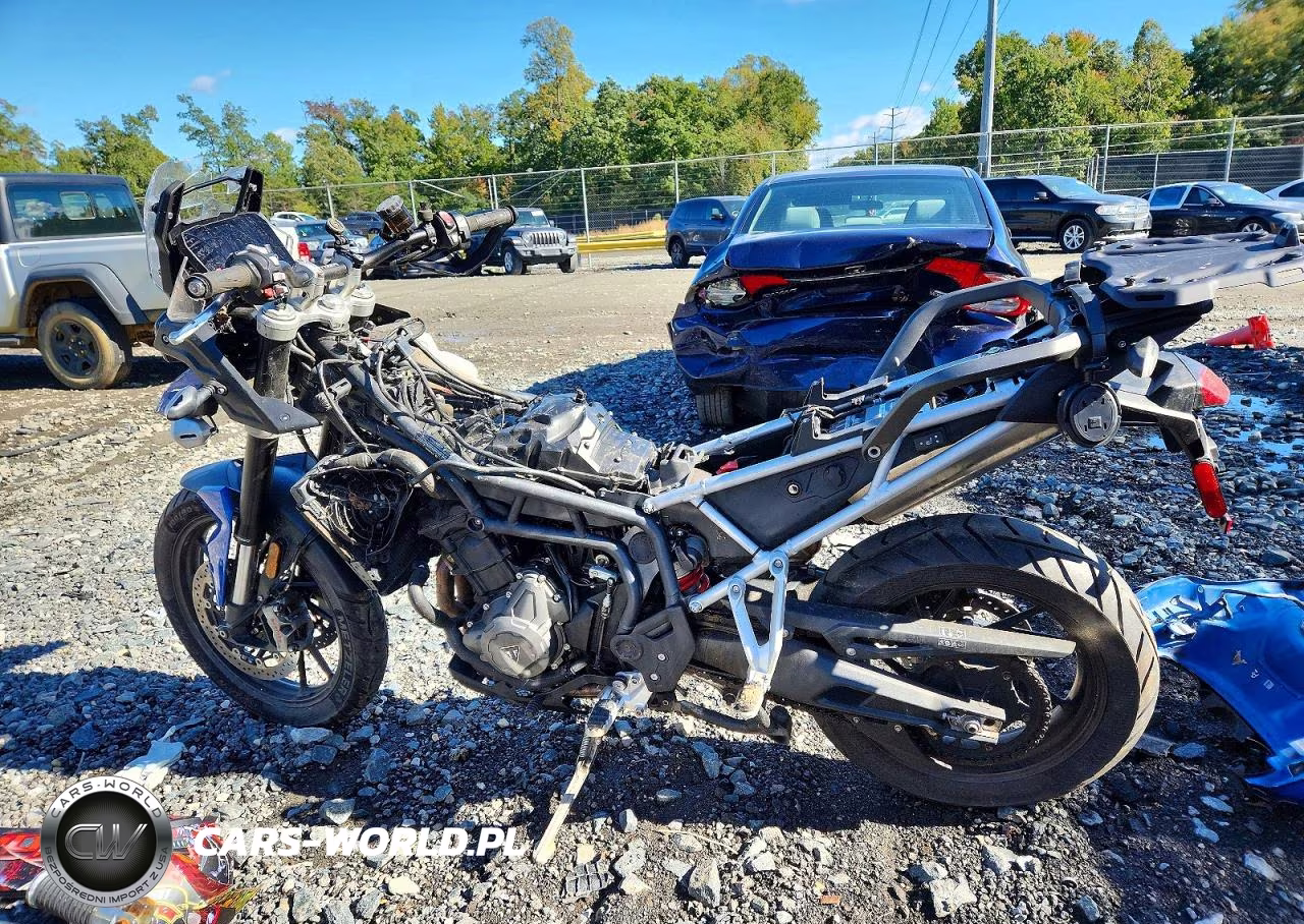2023 Triumph Motorcycle Tiger 900 Gt Pro VIN:SMTE64DF1PTBA7111 - 3