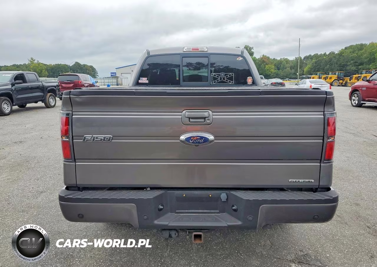 2013 Ford F150 VIN:1FTFX1CF0DFB26339 - 6