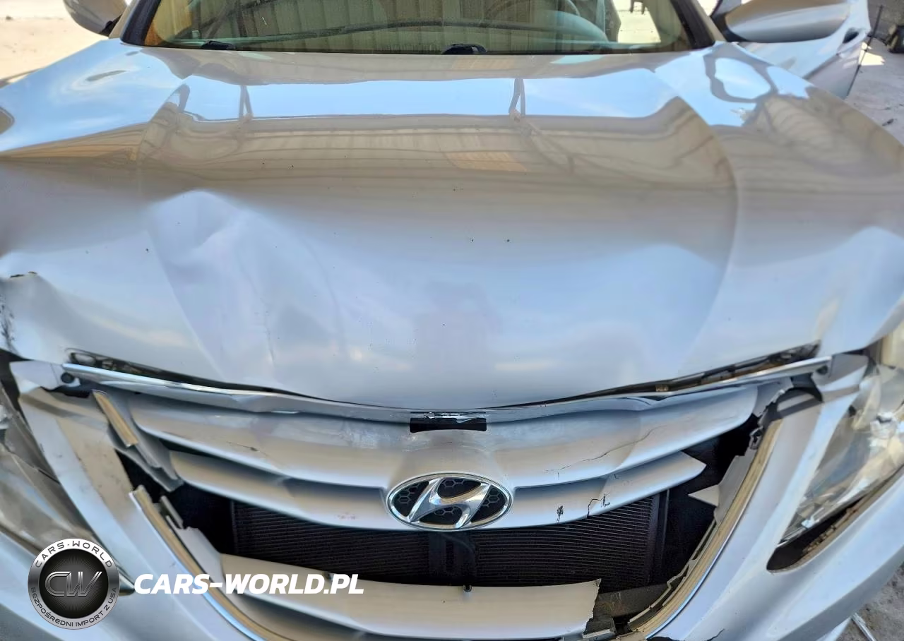 2011 Hyundai Sonata Gls VIN:5NPEB4AC2BH227048 - 11