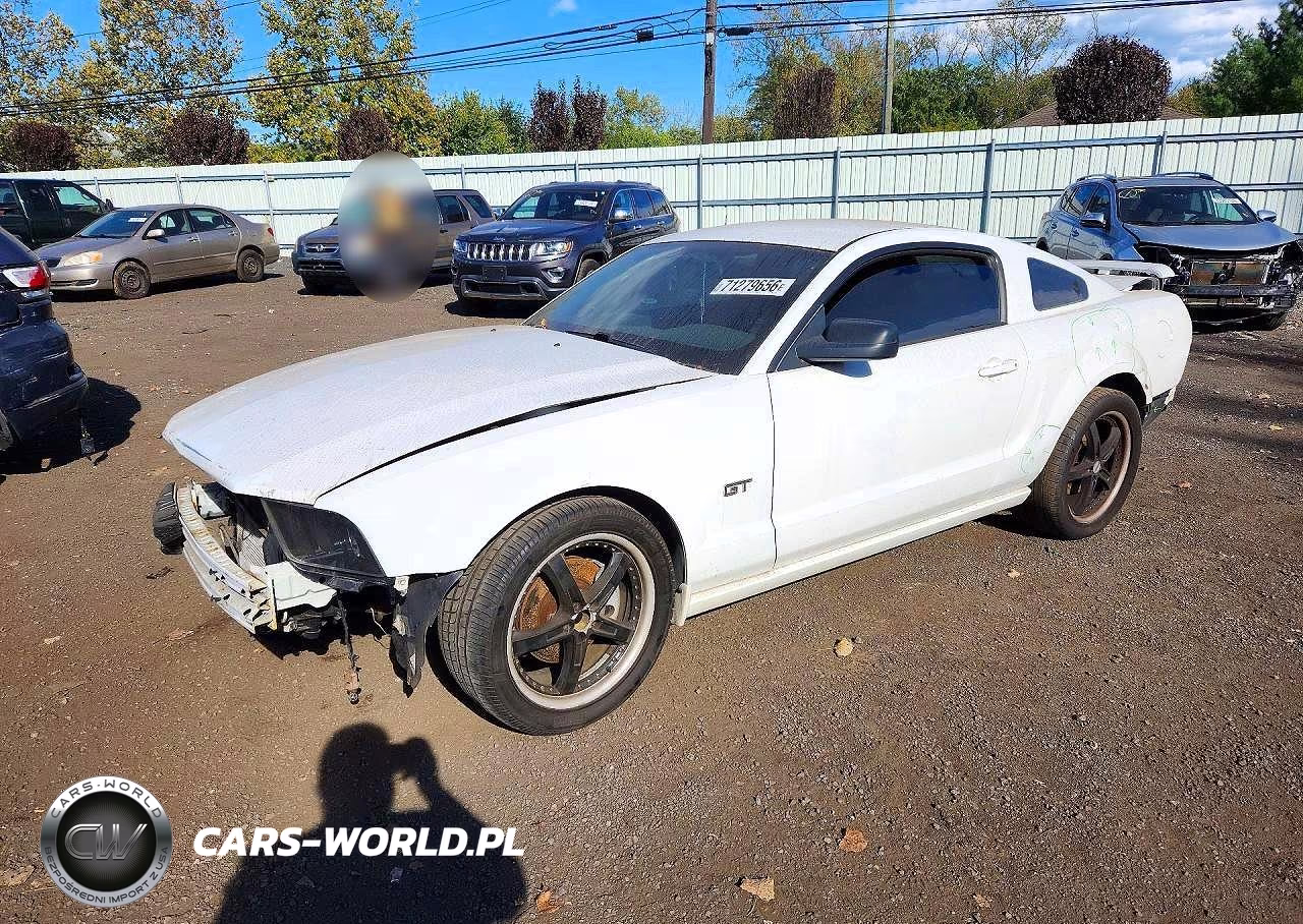 2006 Ford Mustang Gt VIN:1ZVHT82H965125387 - 1