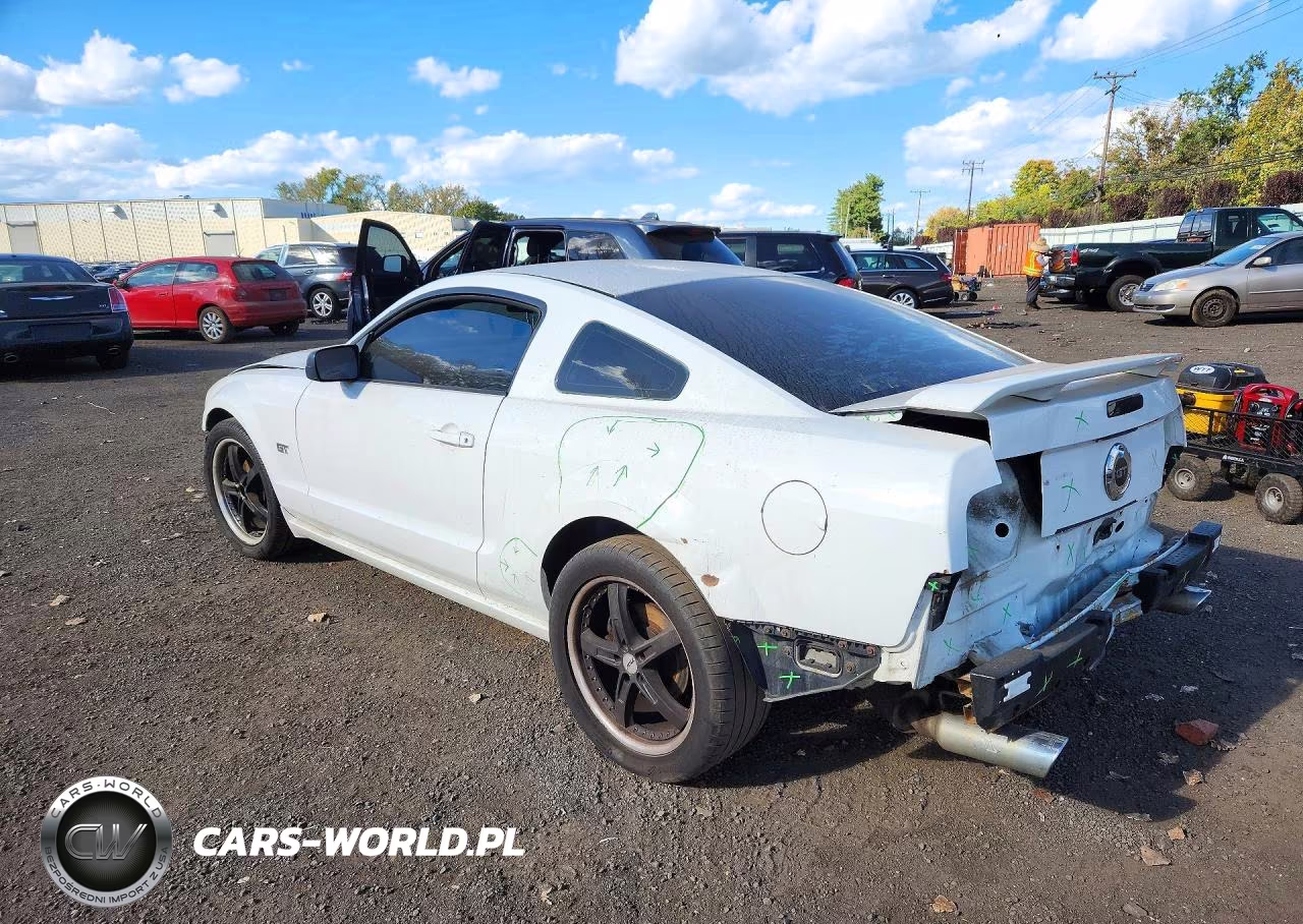 2006 Ford Mustang Gt VIN:1ZVHT82H965125387 - 2