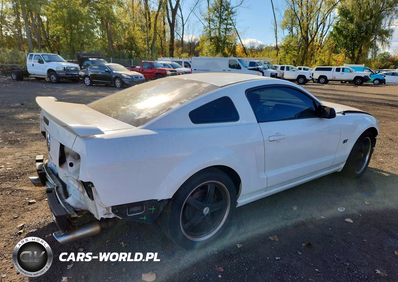 2006 Ford Mustang Gt VIN:1ZVHT82H965125387 - 3