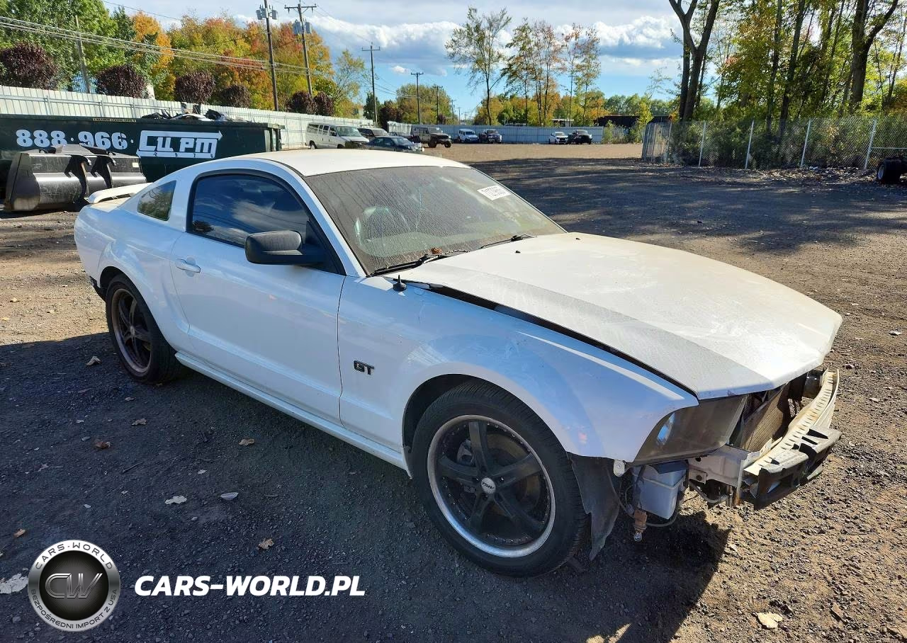 2006 Ford Mustang Gt VIN:1ZVHT82H965125387 - 4