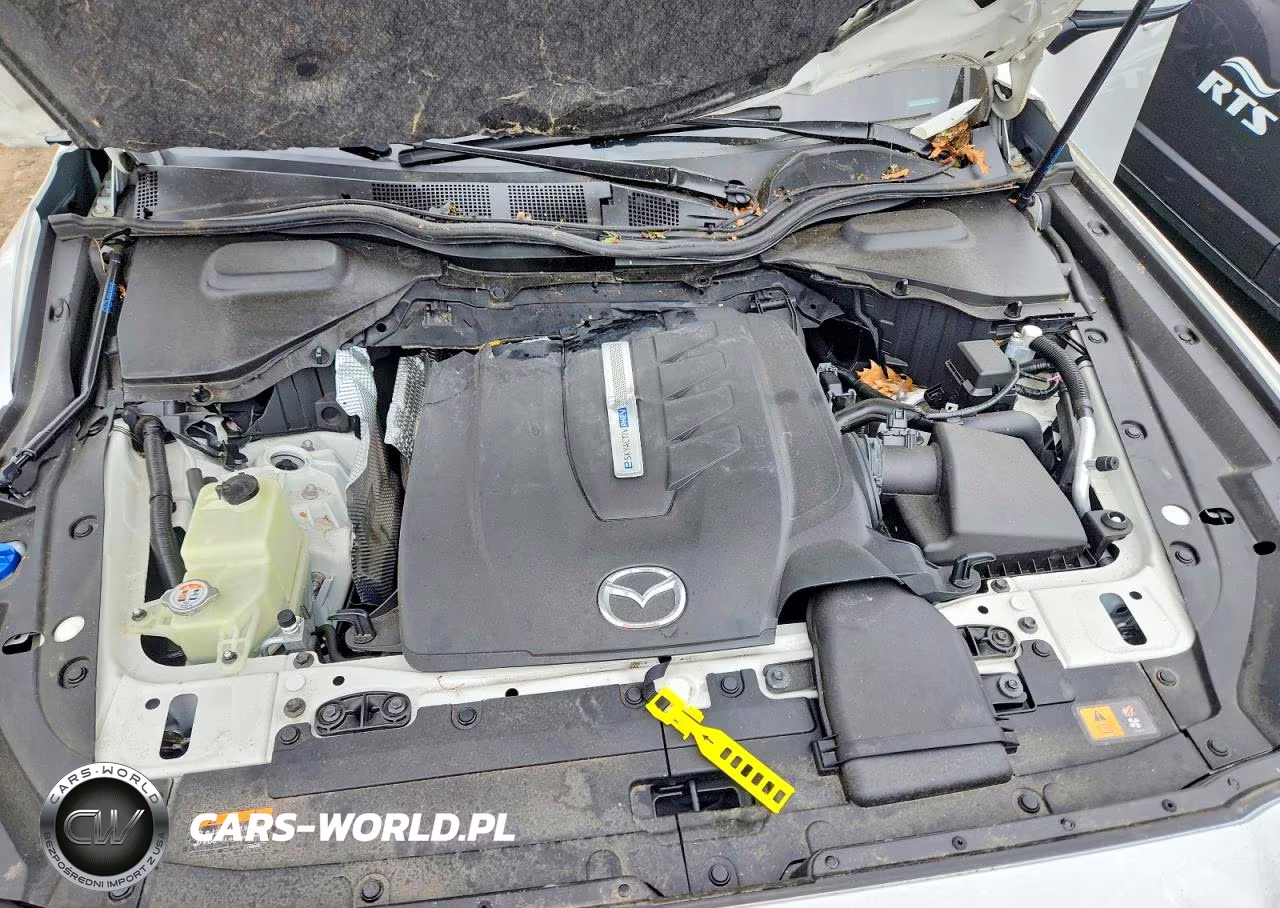 2024 Mazda Cx-90 Premium Plus VIN:JM3KKEHA4R1144727 - 12